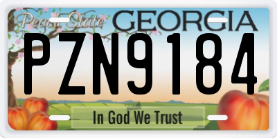 GA license plate PZN9184