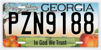 GA license plate PZN9188