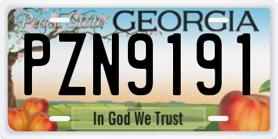 GA license plate PZN9191