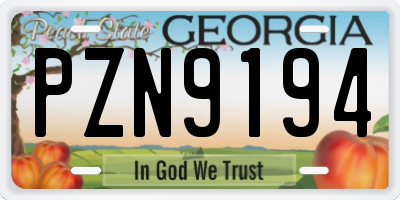 GA license plate PZN9194