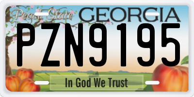 GA license plate PZN9195