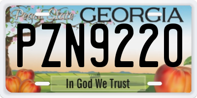 GA license plate PZN9220