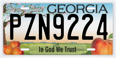 GA license plate PZN9224
