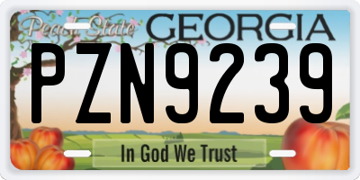 GA license plate PZN9239