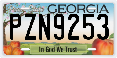 GA license plate PZN9253