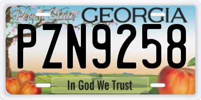 GA license plate PZN9258