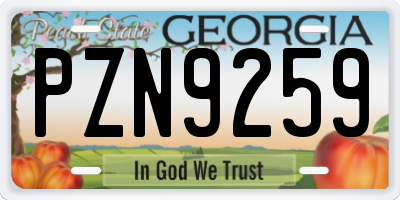 GA license plate PZN9259