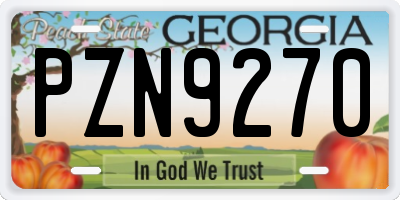 GA license plate PZN9270