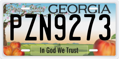 GA license plate PZN9273