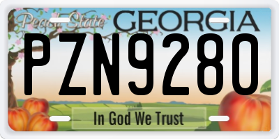 GA license plate PZN9280