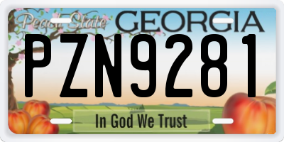GA license plate PZN9281