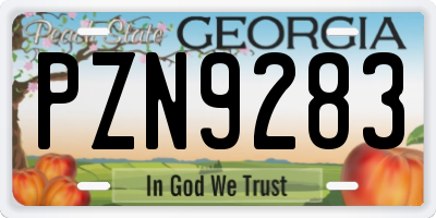 GA license plate PZN9283