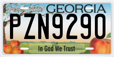 GA license plate PZN9290
