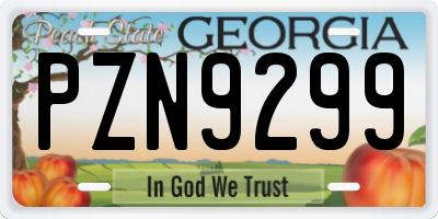 GA license plate PZN9299