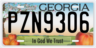 GA license plate PZN9306