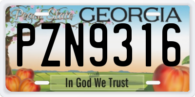 GA license plate PZN9316