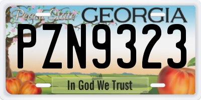 GA license plate PZN9323