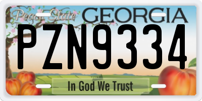 GA license plate PZN9334