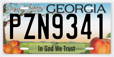 GA license plate PZN9341