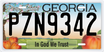 GA license plate PZN9342