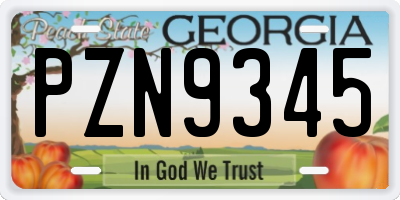 GA license plate PZN9345