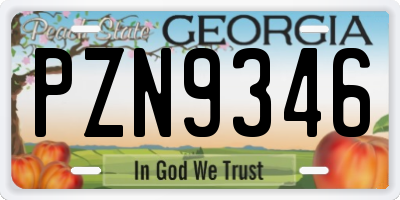 GA license plate PZN9346