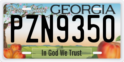 GA license plate PZN9350