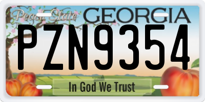 GA license plate PZN9354