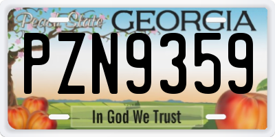 GA license plate PZN9359