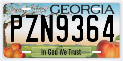 GA license plate PZN9364