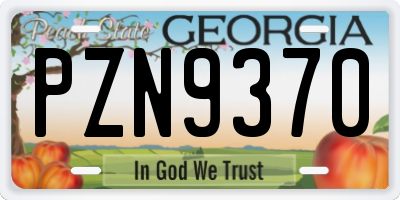 GA license plate PZN9370