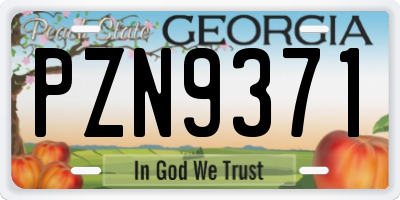 GA license plate PZN9371