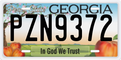 GA license plate PZN9372