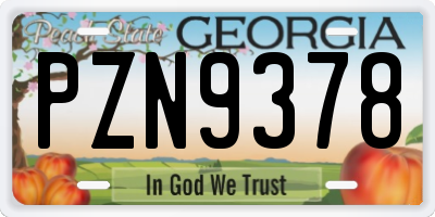 GA license plate PZN9378