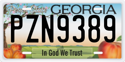GA license plate PZN9389