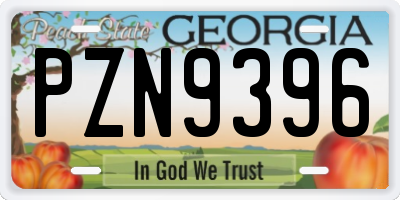 GA license plate PZN9396