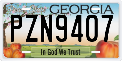 GA license plate PZN9407