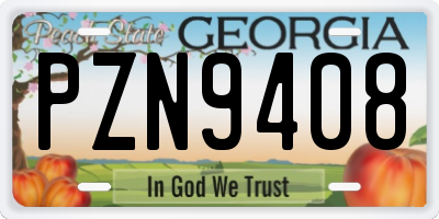 GA license plate PZN9408