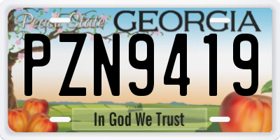 GA license plate PZN9419