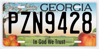 GA license plate PZN9428