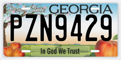 GA license plate PZN9429