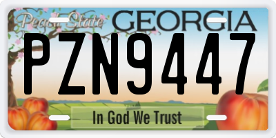 GA license plate PZN9447