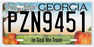 GA license plate PZN9451