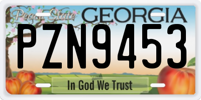 GA license plate PZN9453
