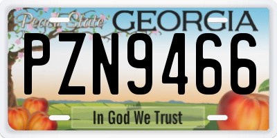 GA license plate PZN9466