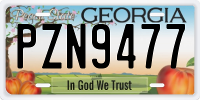 GA license plate PZN9477