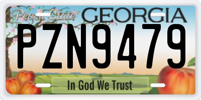GA license plate PZN9479