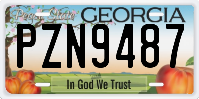 GA license plate PZN9487