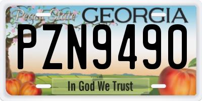 GA license plate PZN9490