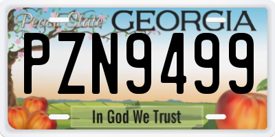GA license plate PZN9499